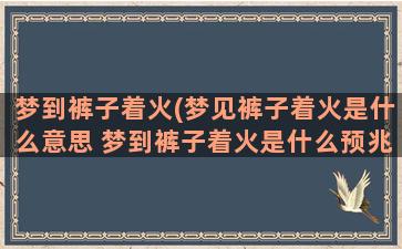 梦到裤子着火(梦见裤子着火是什么意思 梦到裤子着火是什么预兆)